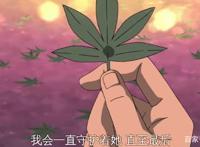 自来也对纲手的钟情