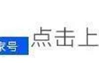 博人传：第八代火影木叶丸，向日葵继承九尾和仙术，成第九代火影