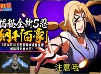 火影忍者手游：纲手全新机制，这又是策划小李的创新之作