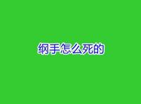 纲手怎么死的？纲手为什么不当火影了？