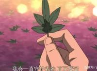 《火影忍者》自来也明知纲手不肯接受他的原因，却什么也改变不了