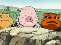 还记得纲手的宠物小猪豚豚吗？它没被纲手吃掉，也已经有崽了