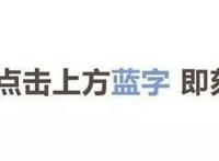 博人传：五个年龄段的佐良娜，两岁时超可爱，二十岁时堪称完美！