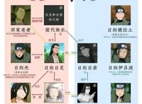 日向一族有宗家、分家的传统，那雏田是分家，花火是宗家吗？