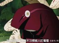 鼬说秽土转生的风险是他，药师兜为何发笑：你怕是忘了你的老师