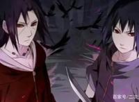 鼬到底得了什么病？为什么都在说鼬绝症复发而亡？答案显而易见