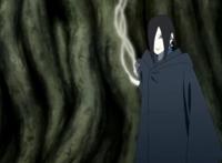 大蛇丸再生之术媲美仙术，而且攻击力显著增强，早已超影级