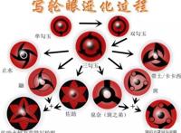 火影忍者：宇智波一族写轮眼的进化历程，斑的写轮眼完成全过程