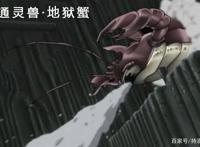 火影忍者：盘点佩恩男女版畜生道通灵出来的通灵兽