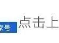 博人传：向日葵的颜值，会远超雏田？至少继承了胸！