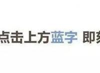 博人传56话情报1：真正的壳组织出现，比一式还强。