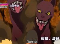 博人传146集：畜生道的忍者登场，双头地狱犬来袭