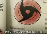 佐良娜查阅宇智波一族的资料，出现了鼬的眼睛，他的资料却被限制