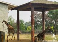 五一假期石家庄市动物园活动精彩纷呈等你探秘！