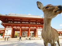 疫情下的日本旅游业：“我们意识到我们太依赖中国顾客了”