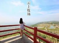 和奈良小鹿亲密接触，不用去日本，郑州伏羲山云上牧场有你好玩！