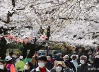 日本疫情：东京奥运会面临延期奈良小鹿到处觅食