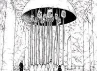 杀死鸣人的川木身份已经明了，普通人一枚，被壳组织抽干力量而死
