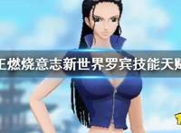 航海王燃烧意志新世界罗宾技能介绍