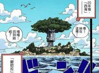 海贼王：罗宾两年后换皮肤，腹黑变可爱，与革命军首领龙有关