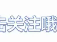 成为海贼王罗宾是关键，为何海贼世界没人出手抢夺罗宾？城府太深