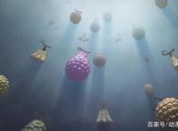 海贼王：可以使用分身的能力者，多弗朗明哥排不上第一