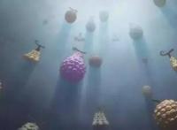 《海贼王》至906话恶魔果实大全
