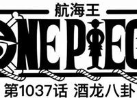 海贼1037话追加情报，巨大黑影是象主，世界政府出手，阿金来了？