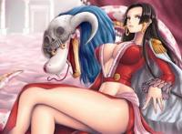 海贼王选美大赛：熟女、御姐、女王、萝莉，哪一款是你的菜？