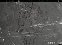 海贼王1028话简易情报！路奇登场，山治VS奎恩！疑似觉醒能力