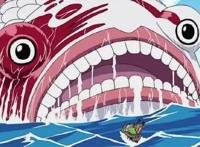 海贼王：乌索普结局是死亡？他对于自己不吉利的谎言是否会成真