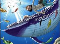 海贼王之乌索普扉页故事！除了狙击，乌索普还擅长这些事情