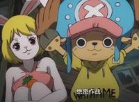 海贼王，草帽团所有成员换装完毕，娜美的忍者装也太太太好看了吧