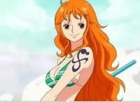 海贼王：娜美穿上泳装让山治流鼻血，可惜再惊艳的穿搭都比不过他