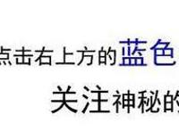 海贼王，娜美专场：“我可是小贼猫娜美酱哟，932集有惊喜”