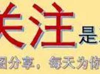 真正的男子汉！索隆做过的三件事情，每一件都让人瞬间燃爆