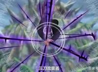 海贼王：索隆最爷们的五大瞬间，不愧是霸气侧漏的男人！