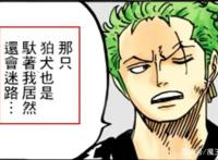 海贼王920话：索隆犯路痴是为了揭露身世？索隆的戏份开始加码