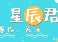 海贼王：为何索隆消失了如此长的时间，网友：报告，索隆已迷路