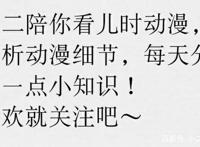 「海贼王」｜如何评价巴索罗米·熊