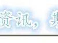 《海贼王》中四个声名远扬的航海士，最后一个可以单挑四皇