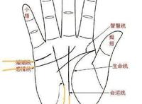 事业爱情双丰收，天选之子路飞的手相，事业线最长，爱情线最复杂