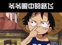 海贼王：这是众人眼中的路飞，你眼中的路飞是什么形象？