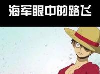海贼王：这是众人眼中的路飞，你眼中的路飞是什么形象？