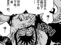 海贼王1014话情报：凯多目睹路飞坠入大海，乔巴获史诗级加强