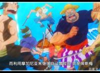 海贼王907集：卡普传授路飞成为强大海贼的经验，科普海贼分两种