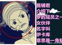 海贼王1015话，强巴鲁和伊卡库救下海的路飞，罗援军登场