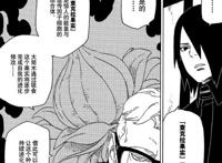 火影忍者：果心居士的身份被公开，是自来也遗留细胞的克隆体