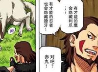 火影结局时大部分人都结婚了，只有这5个人的感情生活成谜！