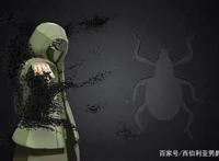 火影：鸣人，愿称你为最强，佐助：我也是木叶的不败神话油女志乃